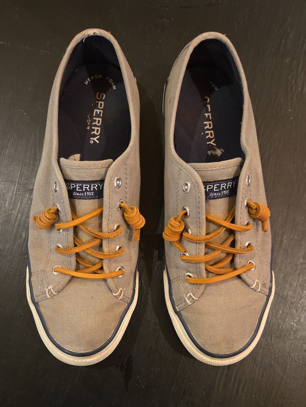 Sperry Men's Canvas Shoes